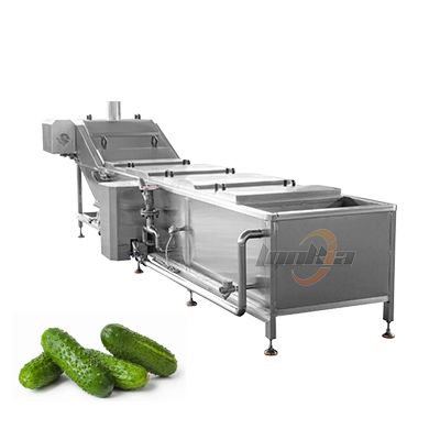 Blanching Machine