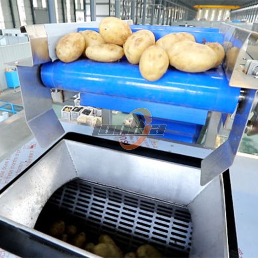 Steam Peeling Machine