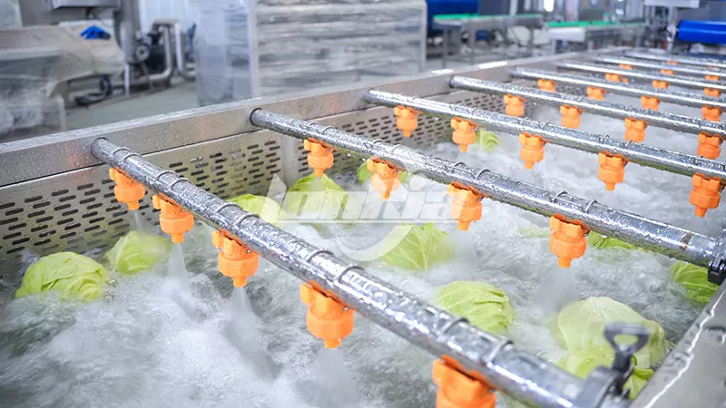 What Is the Best Cabbage Processing Line for Large-Scale Production?