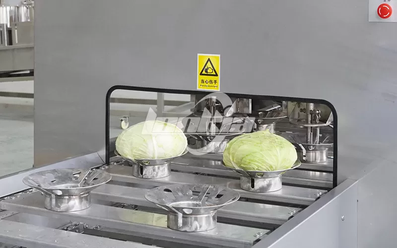 Automatic Cabbage Processing Line: Is It Worth the Investment?