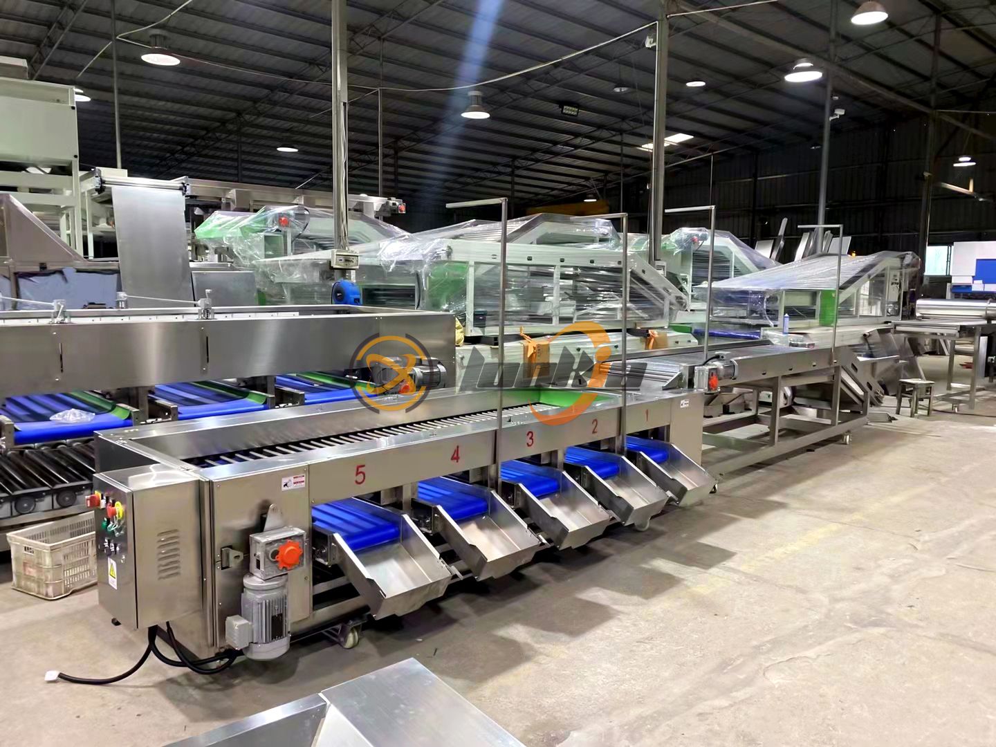 Fruit Sorting Machine