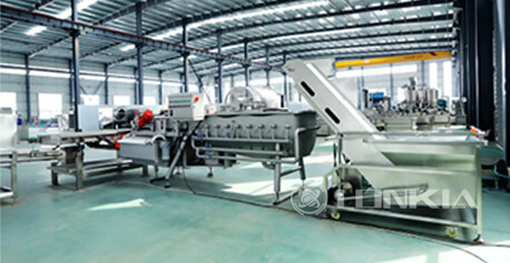 Frozen Fruit Processing Solution