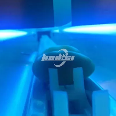 UV Sterilization
