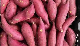 Sweet Potato