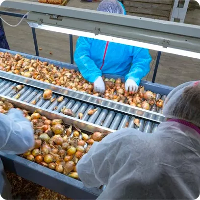 Common Challenges in Fruit & Vegetable Grading