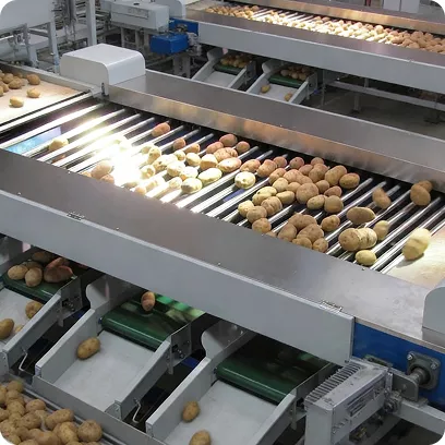 Common Challenges in Fruit & Vegetable Grading