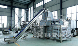 Frozen Fruit Processing Solution