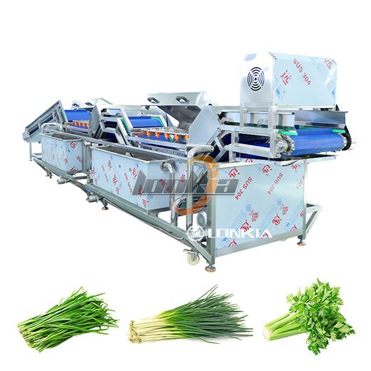 Leaf Vegetables Non Destructive Washer