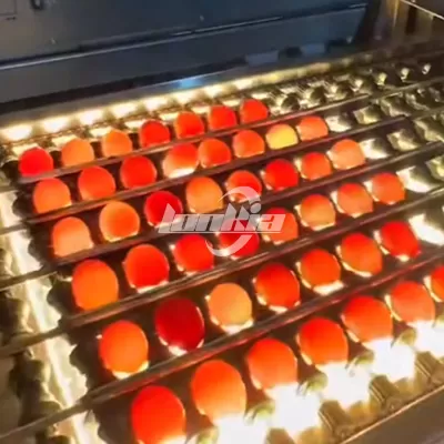 Optical Inspection