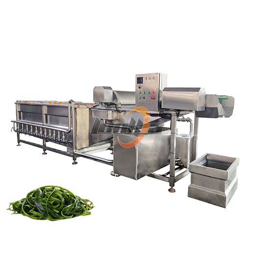 Fish Seafood Washer