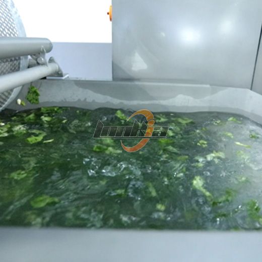 Vortex Oscillation Washer
