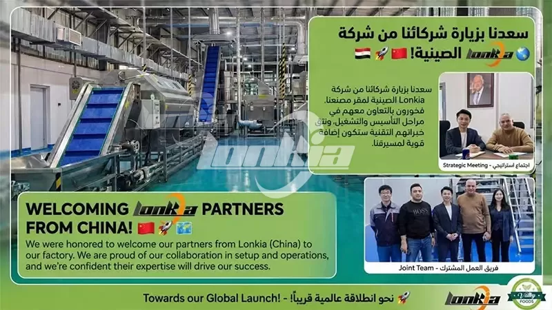 Lonkia Frozen French Fries Processing Line Gets Positive Feedback From Egypt Customer