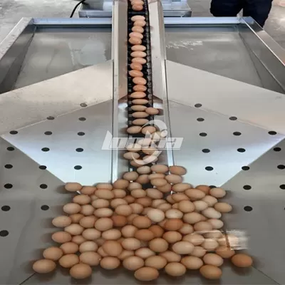 Egg Loading Tank