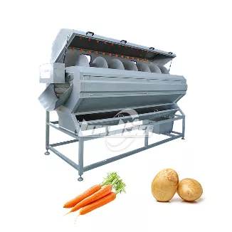 Brush Roller Cleaning Machine