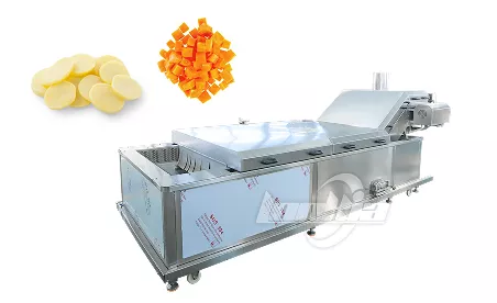 Continuous Blanching Machine