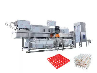 Egg Tray Washing Machine