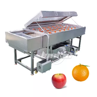 Parallel Brush Cleaning Machine