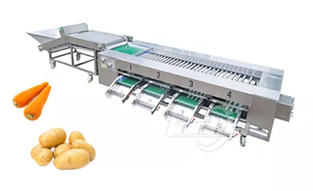 Vegetable Grading Machine