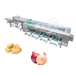Vegetable Grading Machine