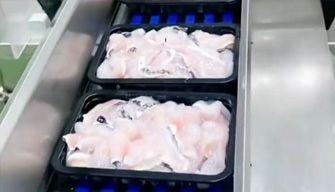 Fillet