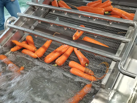 Fully Automatic Carrot Processing Line: From Washing to Packaging Video