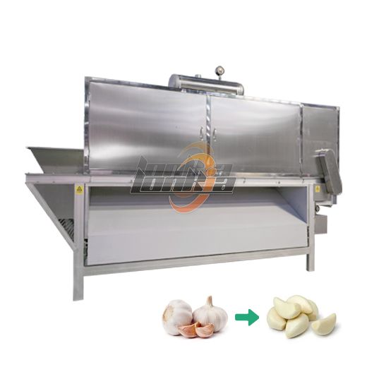 Garlic Peeling Machine
