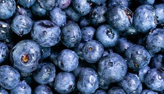 blueberry
