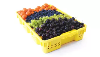 agriculture logistics