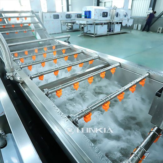 Potato Peeling, Cutting & Blanching Line