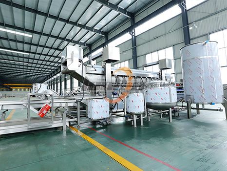 Potato Chips Frying Machine