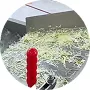 Vortex Vegetable Washing Machine