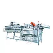 Vortex Vegetable Washing Machine