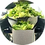 Salad Packaging Machine