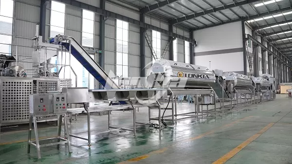 Turnkey Carrot Processing Equipment: From Washing to Packaging Explained