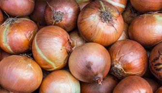 Onion