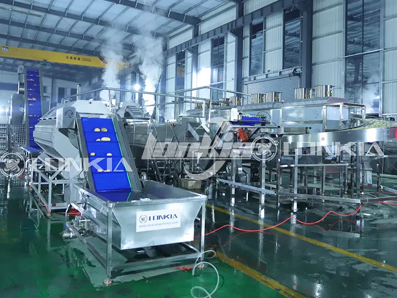Lonkia Frozen French Fries Processing Line Gets Positive Feedback From Egypt Customer
