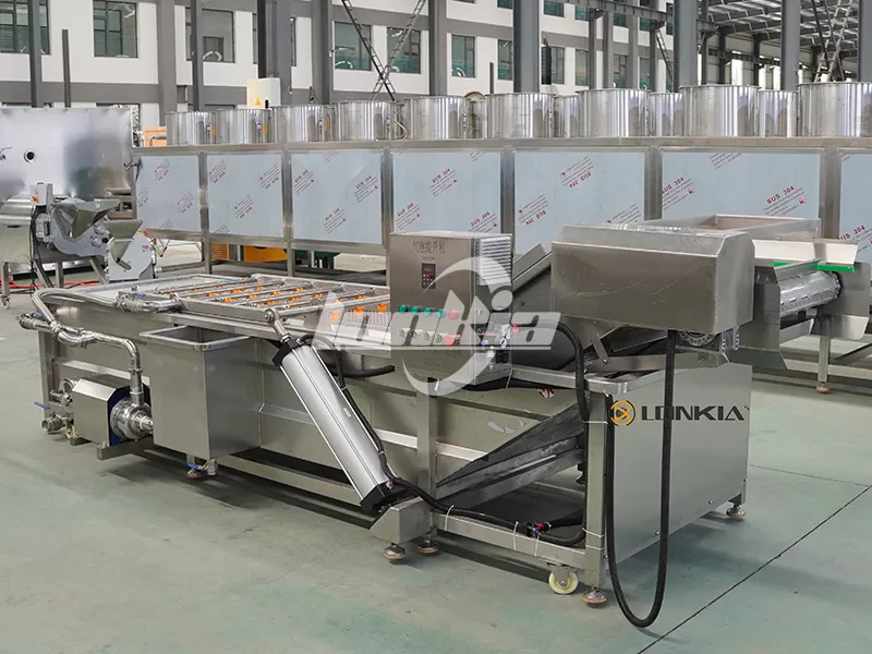 fruit and vegetable washer machine