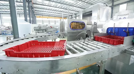 Automatic Feeding Conveyor