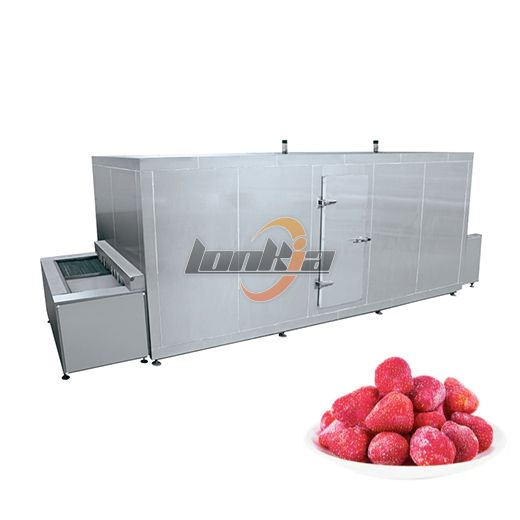 IQF Quick Freezer