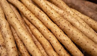 Yam