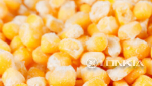 Corn