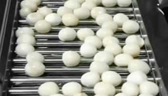 Egg