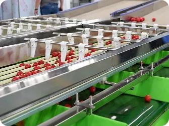 Fruit & Vegetable Grading Machines Product Gallery