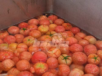 Steam Peeling Machine Product Gallery