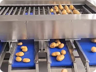 Fruit & Vegetable Grading Machines Product Gallery