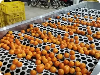 Fruit & Vegetable Grading Machines Product Gallery