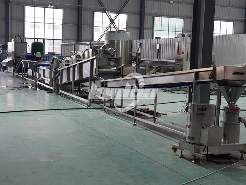 How Much Factory Space Does a Garlic Processing Line Need?