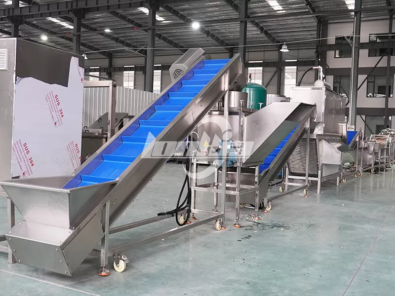 garlic processing machine