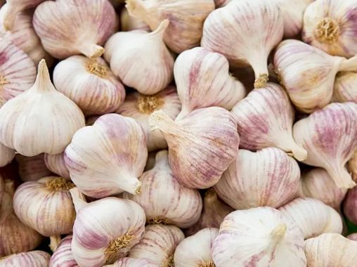 Garlic Peeling Production Line