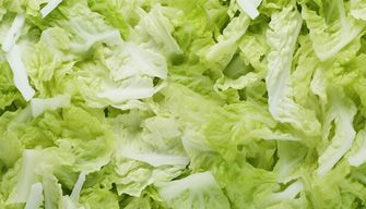 Cabbage
